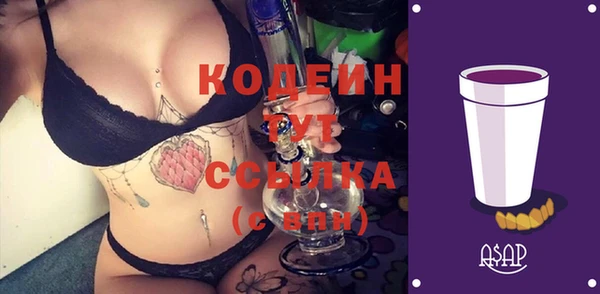 шишки Каменка