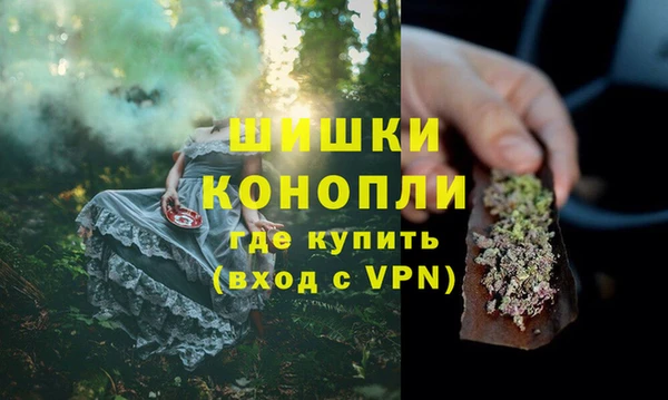 шишки Каменка
