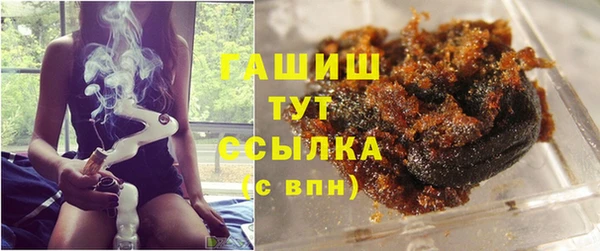 шишки Каменка