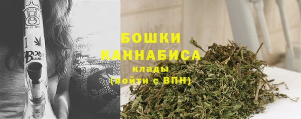 шишки Каменка